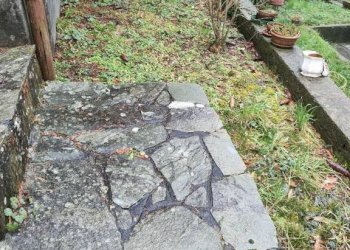 Giardino - Villa Casella - foto 20