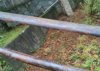 Giardino - Villa Casella - foto 21