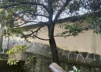 Giardino - Villa Casella - foto 22