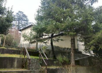 Terreno - Villa Casella - foto 30