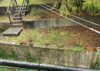 Terreno - Villa Casella - foto 31