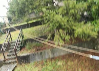 Terreno - Villa Casella - foto 34