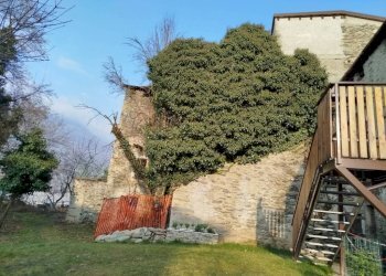 Terreno - Rustic via Feruda, Faedo Valtellino - photo 1