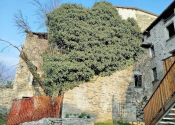 Facciata - Rustico via Feruda, Faedo Valtellino - foto 5