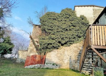 Terreno - Rustico via Feruda, Faedo Valtellino - foto 6