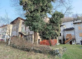 Terreno - Rustico via Feruda, Faedo Valtellino - foto 7