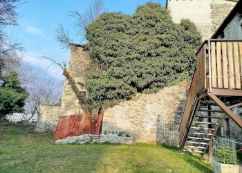 Terreno - Rustico via Feruda, Faedo Valtellino - foto 8