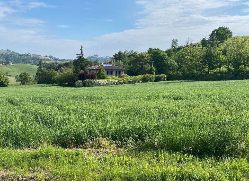 Terreno - Rustic strada Bricco, Nizza Monferrato - photo 3