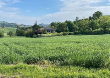 Terreno - Rustic strada Bricco, Nizza Monferrato - photo 3