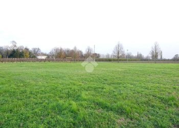 Terreno edificabile Via G. Matteotti, Voghiera - foto 6