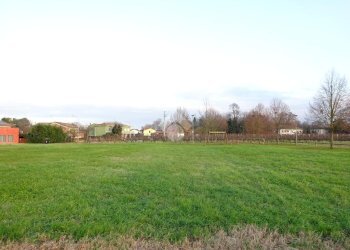 Terreno edificabile Via G. Matteotti, Voghiera - foto 7