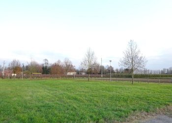 Terreno edificabile Via G. Matteotti, Voghiera - foto 9