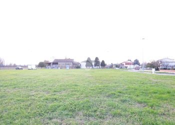 Terreno edificabile Via G. Matteotti, Voghiera - foto 10