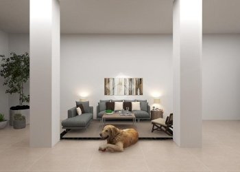 Casa semi indipendente Via dritto, Budrio - foto 8