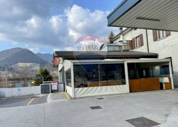 Bar - Tabacchi - Ricevitoria Pradalunga - foto 14