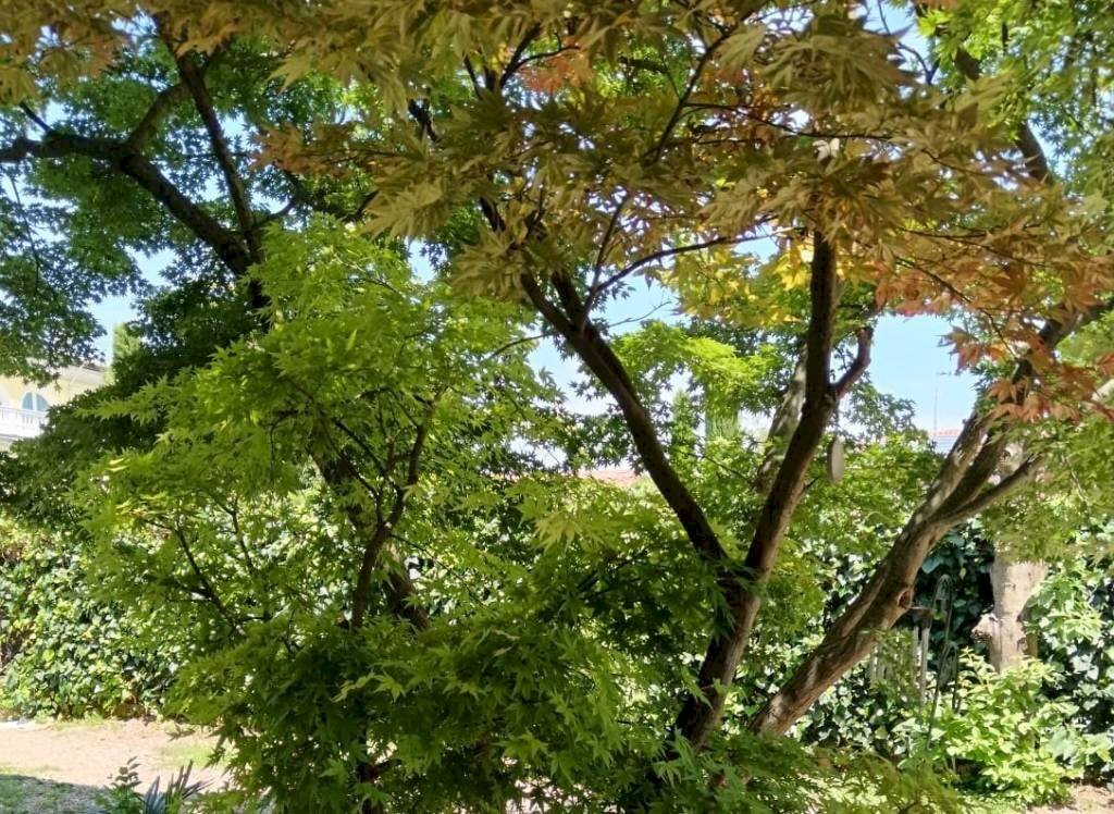 Terreno - Villa via dei Partigiani, 5/a, Valeggio sul Mincio - foto 1