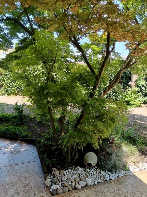 Giardino - Villa via dei Partigiani, 5/a, Valeggio sul Mincio - foto 3