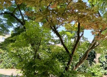 Terreno - Villa via dei Partigiani, 5/a, Valeggio sul Mincio - foto 1