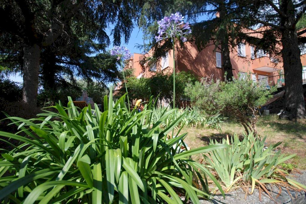 Terreno - Apartment via delle Agave, Varazze - photo 3