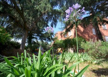 Giardino - Appartamento via delle Agave, Varazze - foto 4