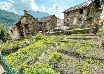 Terreno - Rustico Fobello - foto 19