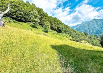 Terreno - Rustico Fobello - foto 22