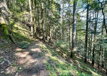 Terreno - Rustico Fobello - foto 24