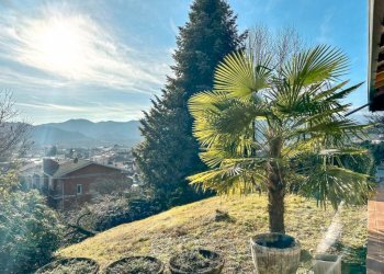 Giardino - Villa via Partigiani, 26, Grignasco - foto 20