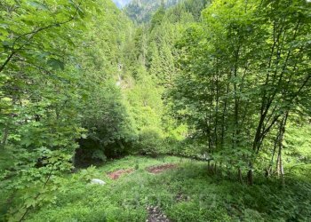 Giardino - Casa indipendente FRAZIONE FERRATE, Alto Sermenza - foto 22