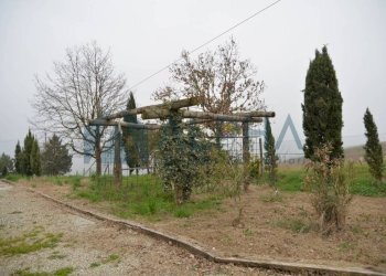 Terreno - Rustico via Bora Busche, Cesena - foto 29