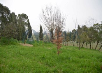 Terreno - Rustico via Bora Busche, Cesena - foto 30