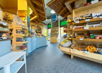 Interno non residenziale - Negozio via aurelio godi 21, Gozzano - foto 1