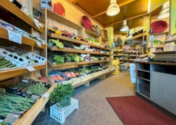 Interno non residenziale - Negozio via aurelio godi 21, Gozzano - foto 3