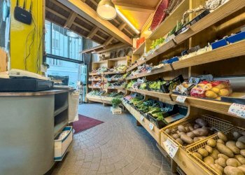 Interno non residenziale - Negozio via aurelio godi 21, Gozzano - foto 6