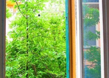 Vista - Appartamento via Renzo Ildebrando Bocchi, 21, Parma - foto 2