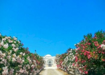 Ingresso - Rustico contrada San Benedetto, Ostuni - foto 2