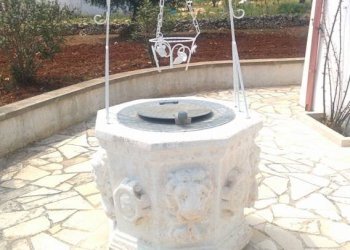 Giardino - Rustico contrada San Benedetto, Ostuni - foto 9