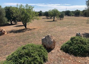 Terreno - Rustico contrada San Benedetto, Ostuni - foto 29