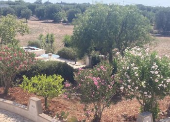 Vista - Rustico contrada San Benedetto, Ostuni - foto 36