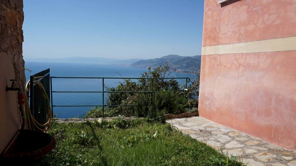 giardino - Three-room apartment via Franco Molfino, 61, Camogli - photo 2