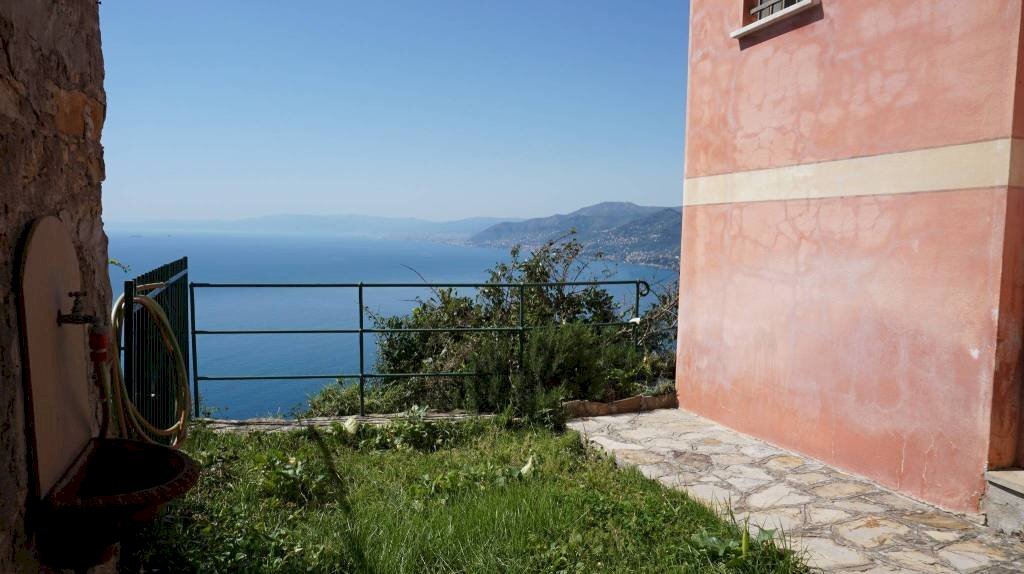 giardino - Three-room apartment via Franco Molfino, 61, Camogli - photo 3