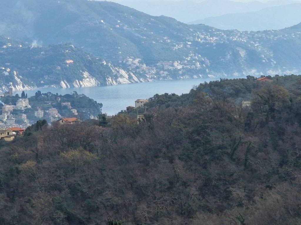 Vista - Villa a Schiera via Pero, Santa Margherita Ligure - foto 1