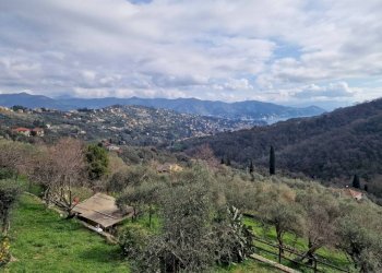 Terreno - Villa a Schiera via Pero, Santa Margherita Ligure - foto 5