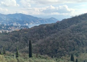 Vista - Villa a Schiera via Pero, Santa Margherita Ligure - foto 11