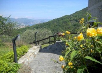 Terreno - Villa a Schiera via Pero, Santa Margherita Ligure - foto 9