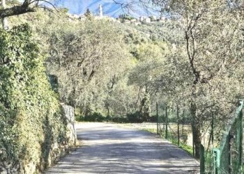 Terreno - Villa a Schiera via Pero, Santa Margherita Ligure - foto 12