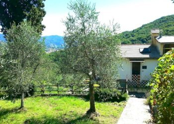 Giardino - Villa a Schiera via Pero, Santa Margherita Ligure - foto 14