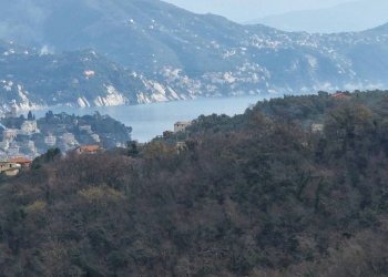 Vista - Villa a Schiera via Pero, Santa Margherita Ligure - foto 17