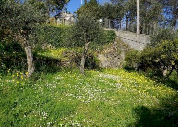 Terreno - Villa via Privata Gattorno, 15, Rapallo - foto 7