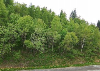 Bilocale Via del Pret, 18, Bagnolo Piemonte - foto 23